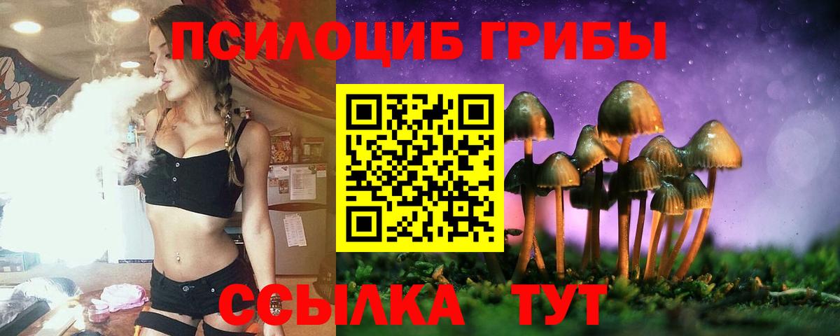 Омск  наркотики  Вход с VPN  Галлюциногенные грибы GOLDEN TEACHER 
