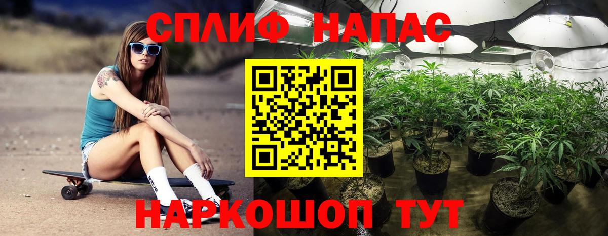 Бошки Шишки сатива Омск